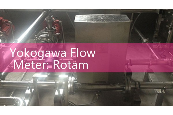 Yokogawa Flow Meter: Rotameter and Magnetic Sensor Solutions